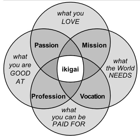 Why Do You Need Ikigai? - Live in Focused Energy